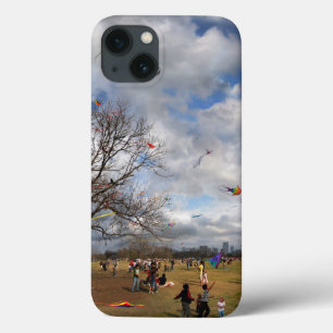 Festival Zilker Park Kite - Austin Texas