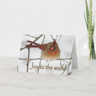 Festividades Alegria ao cartão de Natal cardinal de Wordl
