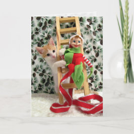 Festividades Annie e Elf - Cartão de Natal Gato / Gatinho