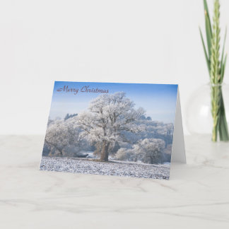 Festividades Árvore de carvalho no Cartão de Natal de Frost