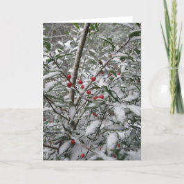 Festividades "Azevinho cartão de cumprimento na neve"