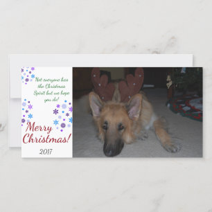 Festividades Bah Humbug German shepherd do cartão de Natal engr