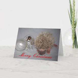 Festividades Bebê Hedgehog Cartão de Natal