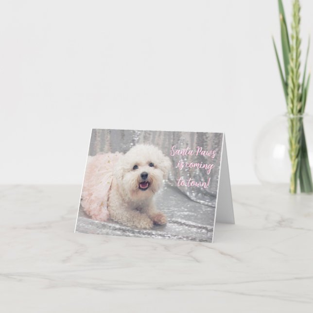 Festividades Belo Cartão de Natal Bichon Frise Ballerina (Frente)