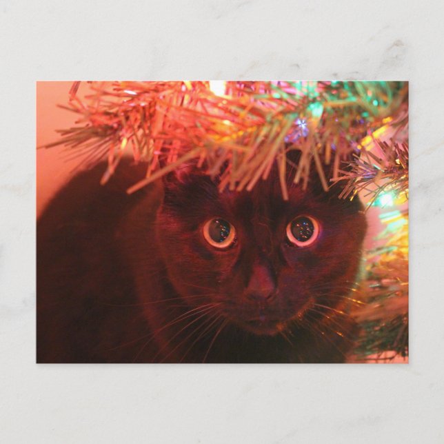 Festividades Black Cat sob o cartão postal da Árvore de Natal (Frente)