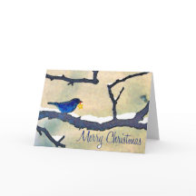 Bluebird com cartão de Natal estrelado