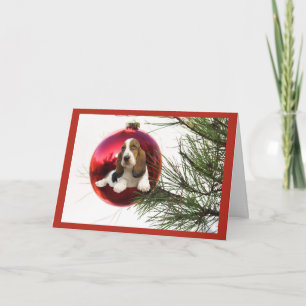 Festividades Bola de Cartão de Natal de Caça-Basset