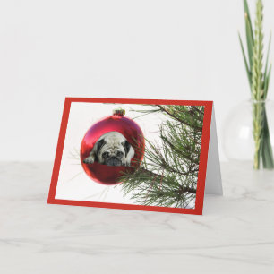 Festividades Bola de suspensão do cartão de Natal do Pug