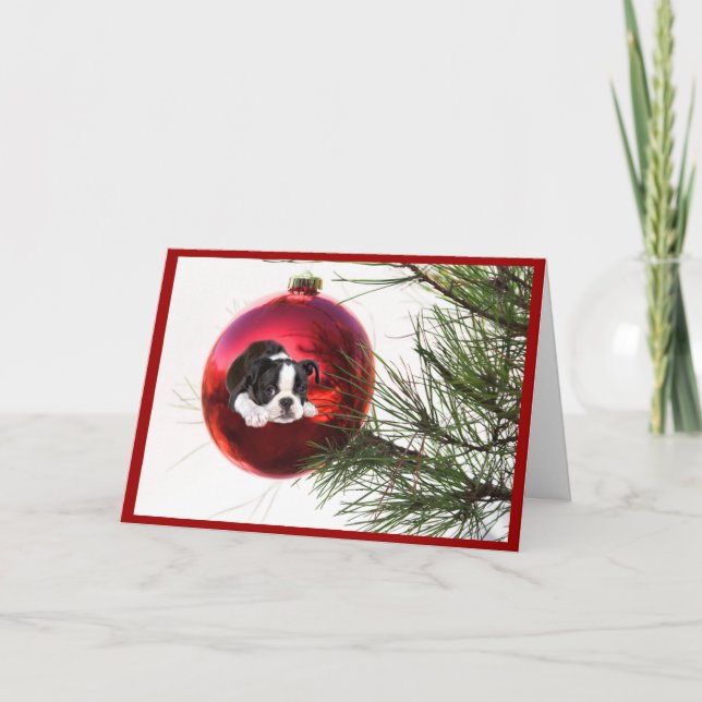 Festividades Bola do cartão de Natal de Boston Terrier (Frente)