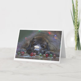 Festividades Bom cartão de Natal de Leonberger