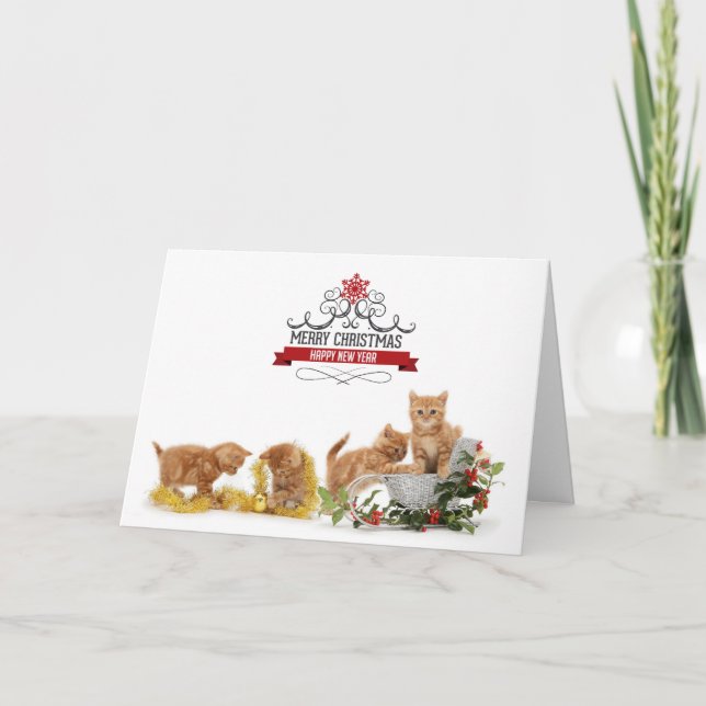 Festividades Bons animais gatos Cartão de Natal (Frente)