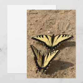 Festividades Borboletas no Cartão de Férias Plana de Praia