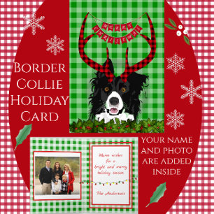 Festividades Borda Collie com Antlers Feliz Cartão de Natal
