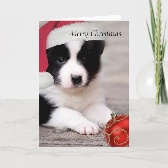 Festividades Border Collie - Feliz cartão de Natal (Frente)