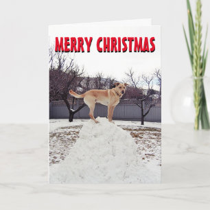Festividades Cachorro bonito no cartão de Natal da neve