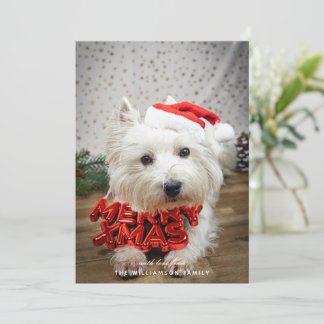 Festividades Cachorro Cachorro Cachorro Feliz Cartão de Natal F