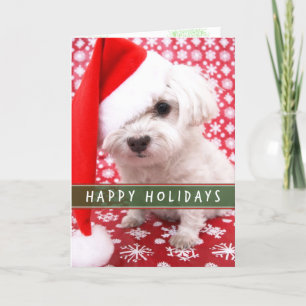 Festividades Cachorro com cartão de Natal Santa Hat