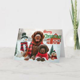 Festividades Cachorro de Terra Nova e Cartão de Natal de cachor