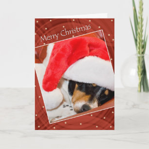 Festividades Cachorro Esnojento No Cartão De Natal Do Papai Noe