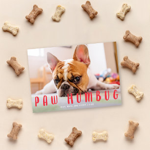 Festividades Cachorro ou Gato de Erva de Paw   Cartão com foto