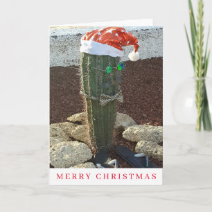 Festividades Cacto festivo Ver cartão de Natal