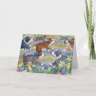 Festividades Cães Caçadores De Ovos, Cartão De Collie De Borda