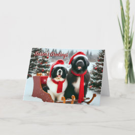 Festividades Cães de Terra Nova no Cartão de Natal de Sleigh