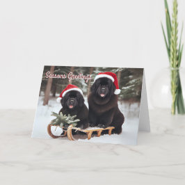 Festividades Cães de Terra Nova num Cartão de Natal de Leve