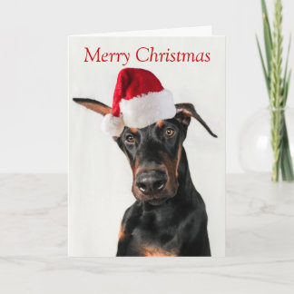 Festividades Cão doberman com cartão de Natal Santa Hat