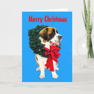 Festividades Cão engraçado de St Bernard com o cartão da