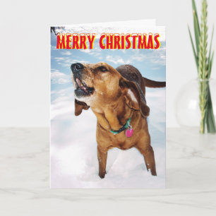 Festividades Cão que ladra no cartão de Natal da neve