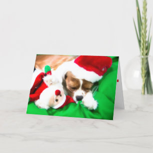 Festividades Cãozinho De Natal Com Cartão De Cão De Papai noel