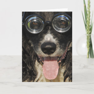 Festividades Cartão Collie de Borda