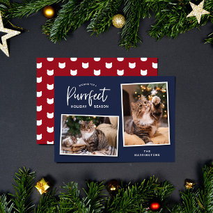 Festividades Cartão com fotos de Feriado Puro de Cabeça de Gato