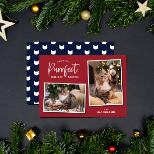 Festividades Cartão com fotos de Feriado Puro de Cabeça de Gato