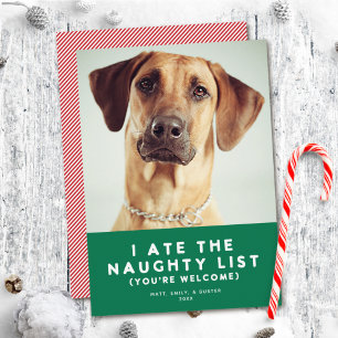 Festividades Cartão com fotos de Férias de Animais de Companhia