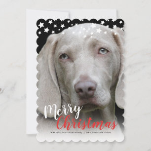 Festividades Cartão com fotos de Férias   Doggie Love