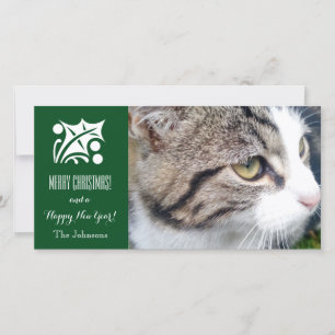 Festividades Cartão com fotos de gato natalino   Adicione sua i