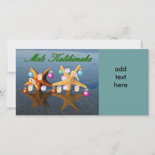 Festividades Cartão com fotos de peixe-estrela do Natal do Hav