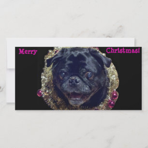 Festividades Cartão com fotos de Pug de Natal Louco