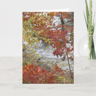 Festividades Cartão da acção de graças