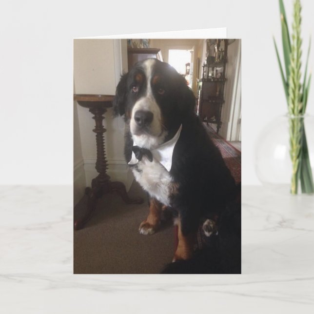 Festividades Cartão da nação de Berner (Frente)