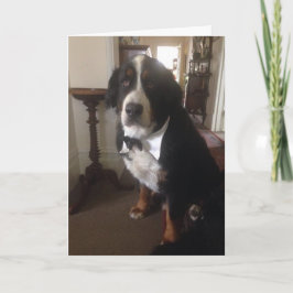 Festividades Cartão da nação de Berner