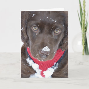 Festividades Cartão da neve do filhote de cachorro do Natal