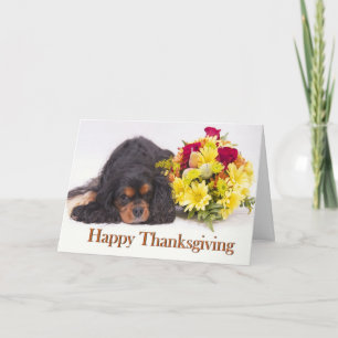 Festividades Cartão de Ação de Graças Cavalier King Charles Spa