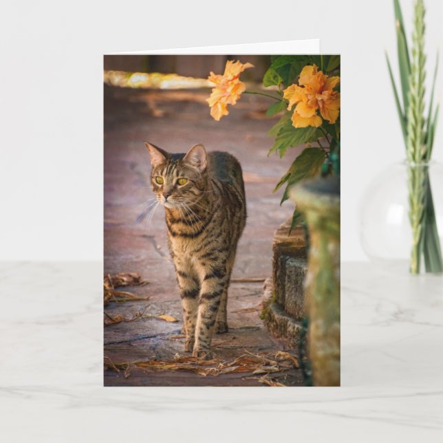 Festividades Cartão de Ação de Graças com flores de gato e de o (Frente)
