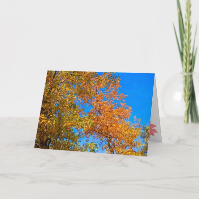 Festividades Cartão de Ação de Graças e Queda 2 (Frente)