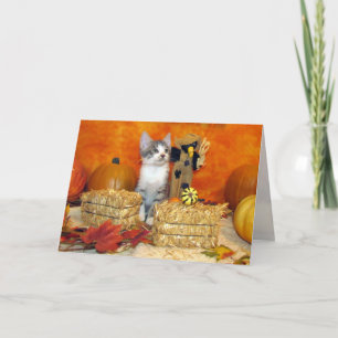 Festividades Cartão de Ação de Graças/Queda de Pork Chop - Cat