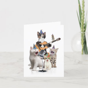 Festividades Cartão de Aniversário - Bandas Animais - Gatos