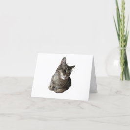 Festividades Cartão de Aniversário de Gato Abissino
